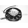 Cooling Fan/Motor