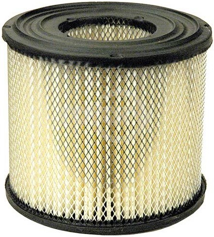 19-1374 - Air Filter for Briggs & Stratton