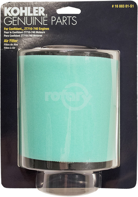 19-1688301S1 - Carded Kohler Oem Air Filter Kit