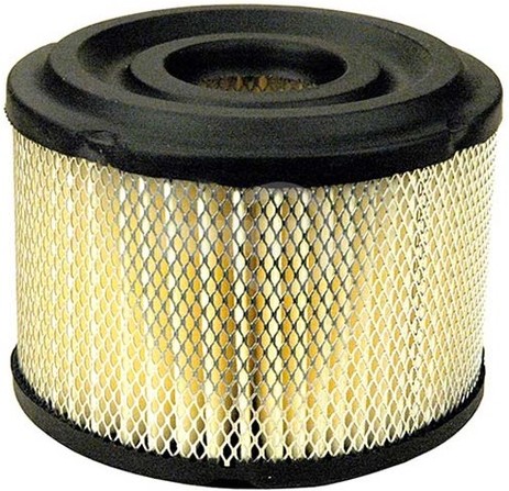 19-2773 - Air Filter for Briggs & Stratton