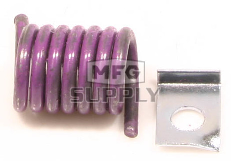 302293A - Spring Kit - Purple