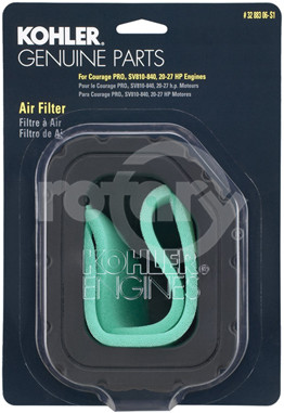 19-3288306S1 - Carded Oem Air Filter Kit