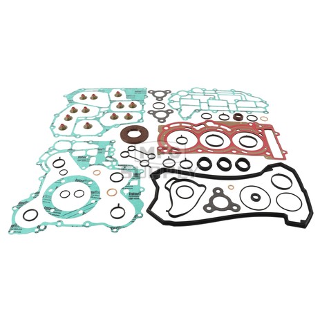 711324 - Complete Gasket Set w/Oil Seals for 2014-2018 Ski-Doo 900 ACE Model Snowmobiles