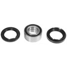 Bombardier/Can-Am 500 TRAXTER Auto/XT Bearings kit both sides Front Wheels 99-01 