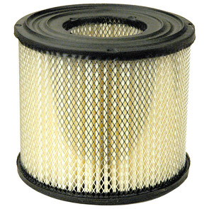19-1374 - Air Filter for Briggs & Stratton 