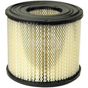 19-1374 - Air Filter for Briggs & Stratton