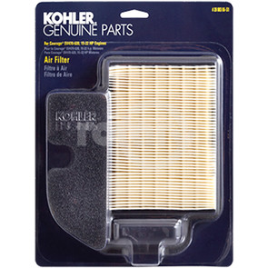 19-2088306S1 - Carded Oem Air Filter Kit