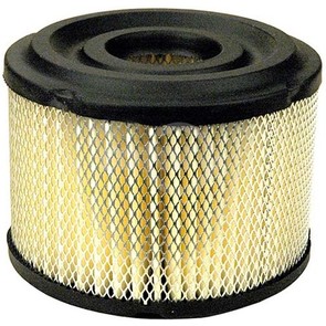 19-2773 - Air Filter for Briggs & Stratton
