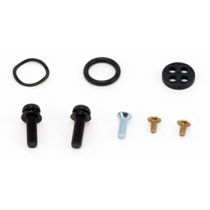 60-1029 Bombardier (Can-Am) Aftermarket Fuel Tap Repair Kit for 2006-2018 DS 70, 90, 90x, and 250 Model ATV's